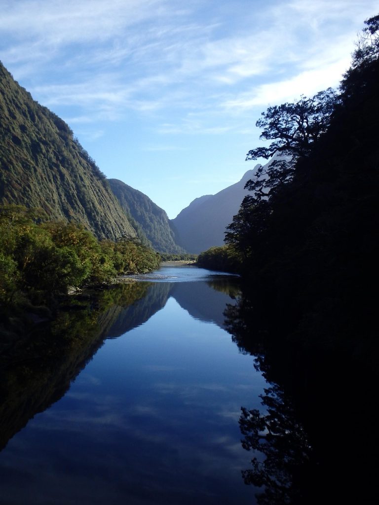 new zealand, fiordland, landscape, nature, sound, new zealand, new zealand, new zealand, new zealand, new zealand