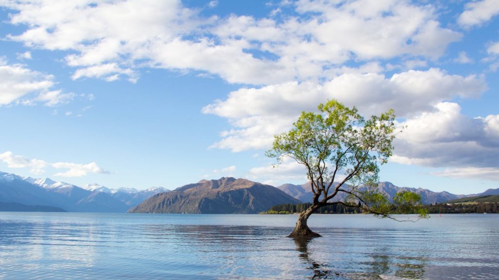 A serene view of Lake Wanaka with a lone tree, mountains, and blue sky.
